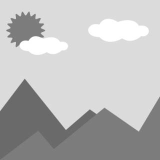 test1